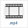VID20240410191115