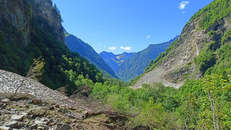 IMG20240627105117