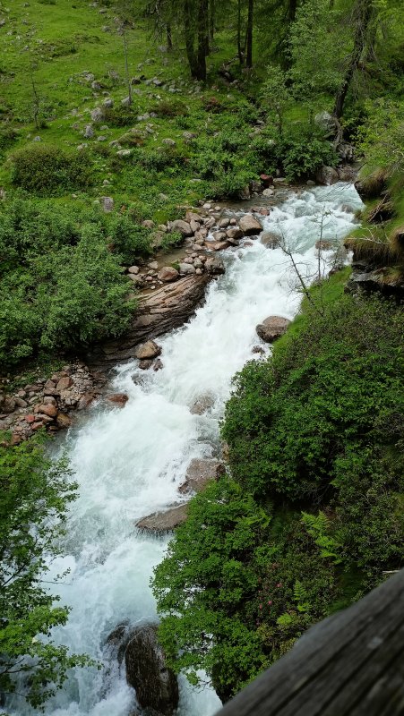IMG20240627124832