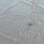 IMG20240727195241