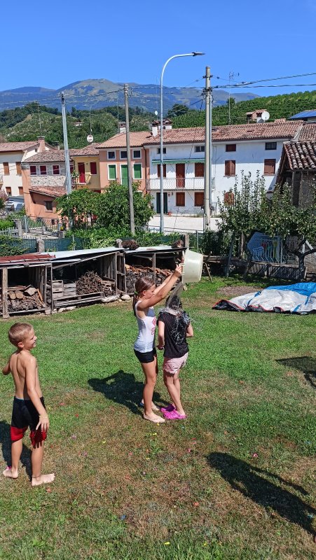 IMG20240811112503