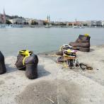 IMG20240819123416