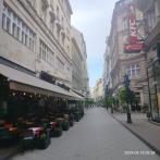 IMG20240818085822