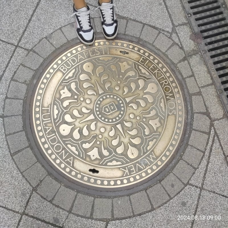 IMG20240818090030