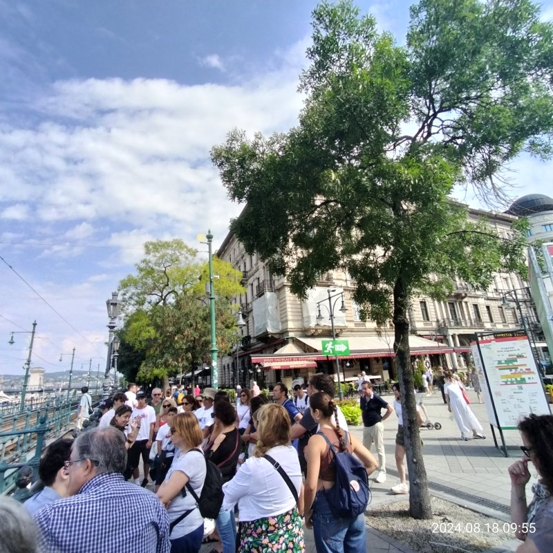 IMG20240818095533