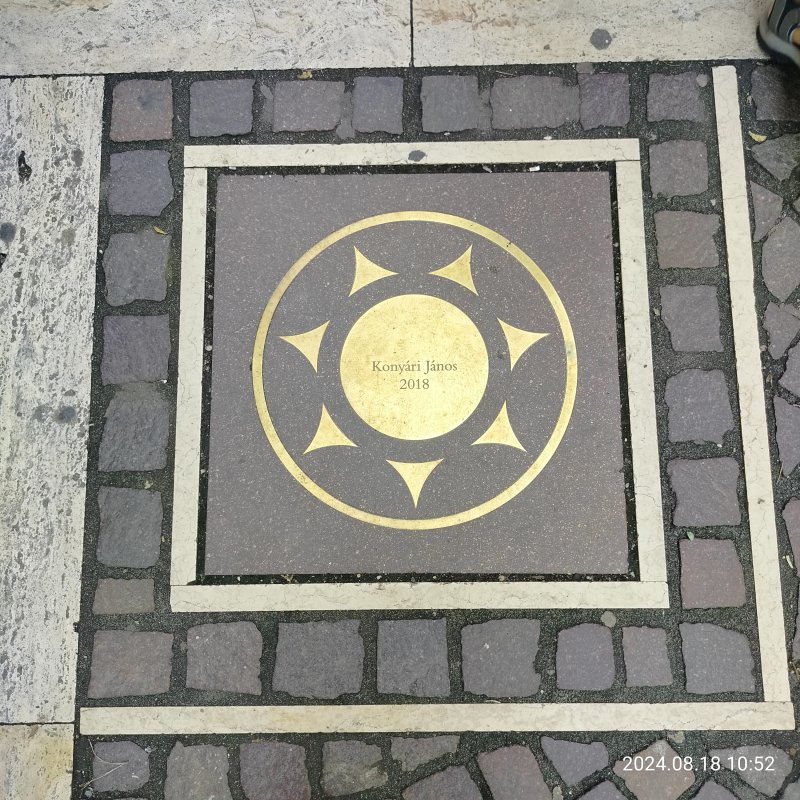 IMG20240818105230