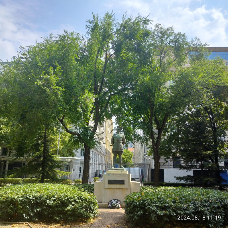IMG20240818111939