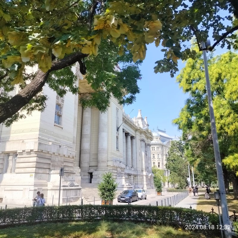 IMG20240818123204