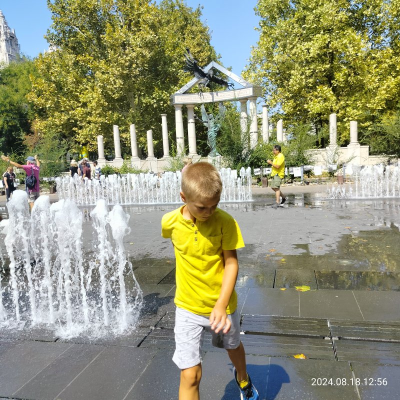 IMG20240818125618