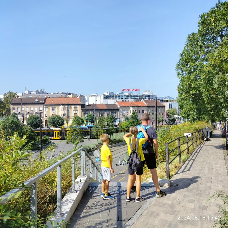 IMG20240818154203