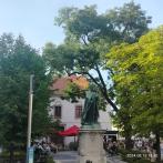 IMG20240818165232