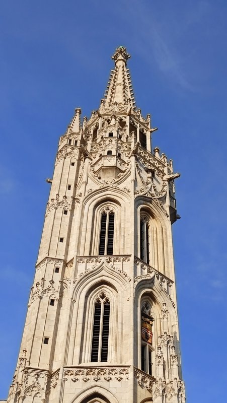 IMG20240818174423