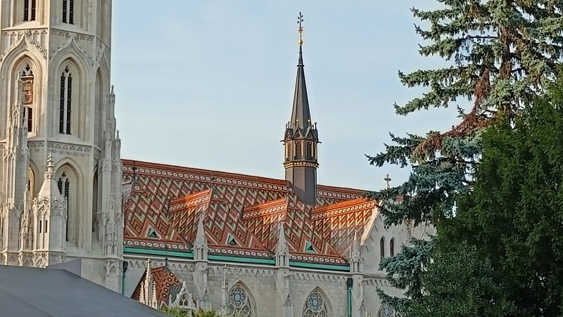 IMG20240818175929