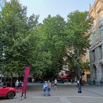 IMG20240819172836