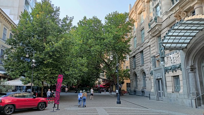 IMG20240819172836