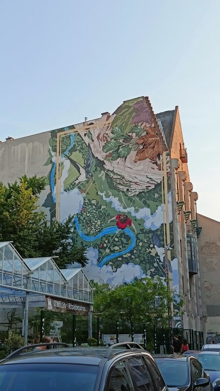 IMG20240819183254