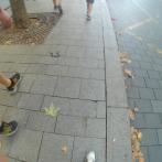 20240819_021936