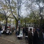IMG20241124151326