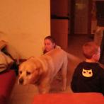 IMG20250227205619