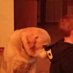IMG20250227205703